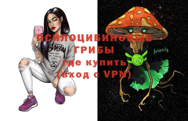 спиды Алзамай