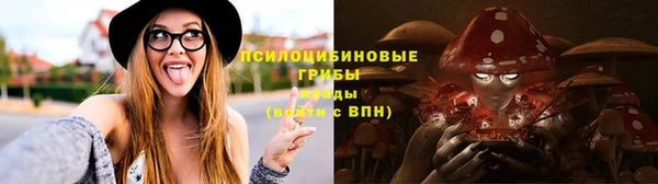 спиды Алзамай