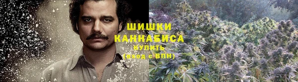 спиды Алзамай