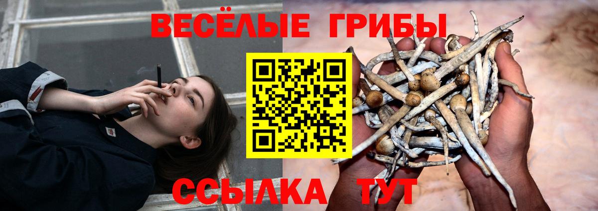 Галлюциногенные грибы мухоморы  Вход с VPN  Сибай 